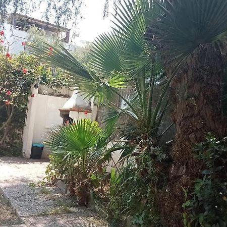 Apartamento - Jardin En Playa San Sebastian Сиджес Экстерьер фото